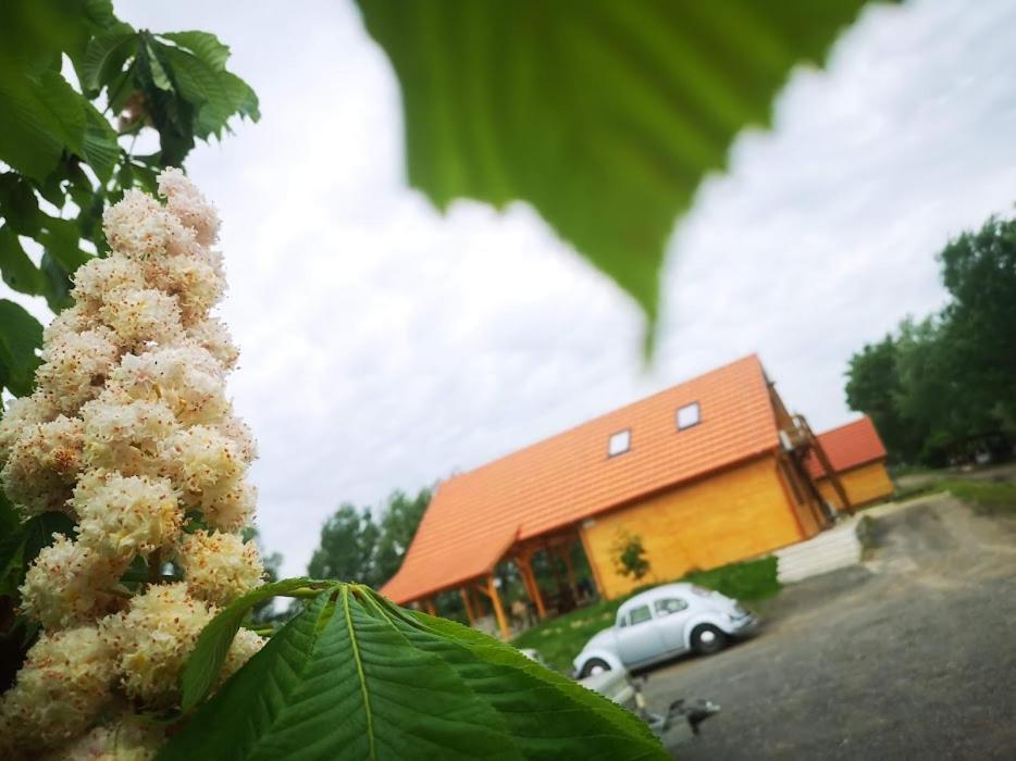 Tómajor Vendégházak Tiszaeszlar Exterior foto